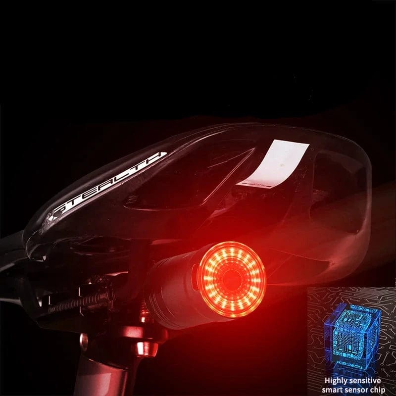 Lumière arrière vélo LED USB WEST BIKING